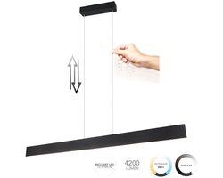Hanglamp Galway Zwart Incl. Comfortlift Up & Down Light
