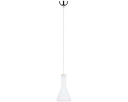 Hanglamp glas woonkamer tafel spot chroom fles hanglamp spot 1148102