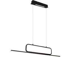 Hanglamp Trio Leuchten Aick - Zwart