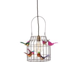 Hanglamp zwart | DUTCH DILIGHT
