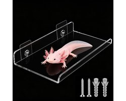 Hangmat voor aquarium Axolotl met 2 zuignappen, transparant acryl (20 x 15 cm)