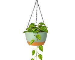 Hangpot met Afwatering - Groen - Ø 21 cm x H 12 cm - Ook Geschikt Als Bloempot - Voor Binnen en Buiten - Waterreservoir