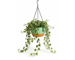 Hangpot met Afwatering - Groen - Ø 29 cm x H 16,5 cm - Ook Geschikt Als Bloempot - Voor Binnen en Buiten - Waterreservoir