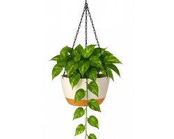 Hangpot met Afwatering - Wit/Creme - Ø 29 cm x H 16,5 cm - Ook Geschikt Als Bloempot - Voor Binnen en Buiten - Waterreservoir