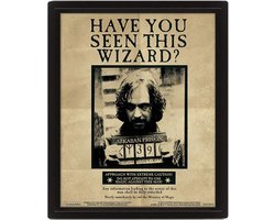 Harry Potter Potter Sirius 3D Lenticular Poster 28,7 x 23,5cm