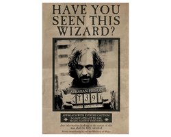 Harry Potter Wanted Sirius Black Unisex Poster - meerkleurig - Standard
