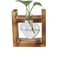 Hartvormige Transparante Bloemenvaas met Houten Standaard voor Hydrocultuurplanten