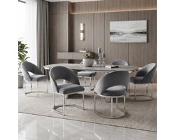HAUSS SPOLE Eetkamerstoel - Luxe Velvet Design - Set Van 6 - Comfortabele Gepolsterde Zitting Met Zilverkleurig Metalen Onderstel - Voor Eetkamer, Woonkamer En Café - Grijs En Zilver