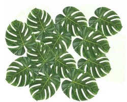 Hawaii Tropical Decoratie - 12x stuks - Monstera palm bladeren - 15 x 35 cm - zomerse versiering