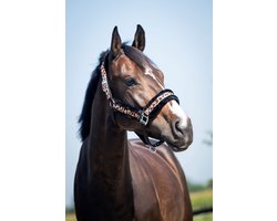 HB Halsters leopard Furr Luipaard - Cob