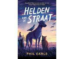 Helden van de straat