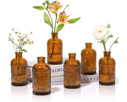 Heldere knopvazen set van 6 - kleine doorschijnende flessen - vintage decoratieve vazen - modern bloemencentrum - huwelijksreceptie decoratie - housewarming cadeau