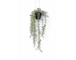 HEM Hangplant kunstplant eucalyptus – Hangende kunstplant met pot – Realistische nepplant – Decoratieve hangplant voor woonkamer, badkamer of kantoor