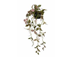 HEM Kunst Hangplant Fittonia 70 cm – Multicolor – Onderhoudsvrije Kunstplant – Hangplant Binnen – Decoratieve Kamerplant in Pot