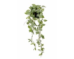 HEM Kunst Hangplant Fittonia Groen 70 cm – Onderhoudsvrije Kunstplant – Hangplant Binnen – Realistische Kamerplant in Pot