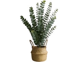 HEM Kunstplant Eucalyptus – 50 cm – Nepplant met Mand – Realistische Kamerplant – Groene Decoratie voor Woonkamer of Kantoor