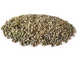 Hennep 20KG | Hennepzaad | Karpervissen | Partikels | Karper Aas | Karper Vissen | Karper Voer | Karper