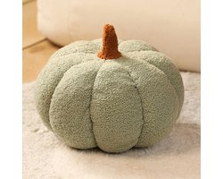 Herfst-pompoenkussen | Decoratief kussen van teddyfleece voor bank of bed | Sfeervol woonaccessoire voor herfst en Halloween, Grijsgroen,Diameter van 20 cm