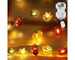 Herfst Slinger Verlichting - Seizoensdecoratie Lichtsnoer - LED Lampjes - Timer Functie - Flexibel Koperdraad - Veilig Materiaal - Warmwit Licht - Batterijgevoed Gemak - 1 Set