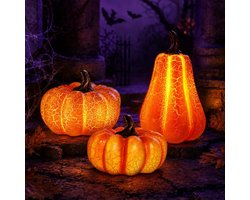 Herfstdecoratie - Decoratieve LED pompoen voor Halloween set van 3 - Herfstdecoratie met led verlichting - pompoen als tafeldecoratie - Tafeldecoratie voor binnen en feestjes - Herfst Halloween
