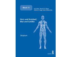 Herz und Kreislauf, Blut und Gefäße