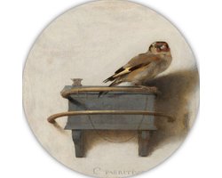 Het Puttertje - Carel Fabritius wandcirkels - Vogel wandbord - Wandcirkel Dier - Wanddecoratie klassiek - Wandcirkels - Slaapkamer accessoires muurcirkel forex 40x40 cm