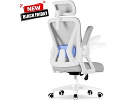 Hiaonyx bureaustoel-ergonomische bureaustoel-bureaustoelen voor volwassenenOpklapbare armleuningen-2D lendensteun-Maximale kanteling 135°-Grijs