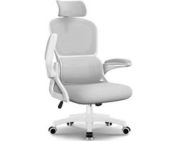 Hiaonyx Bureaustoel - Ergonomische Bureaustoel - Inklapbare Armleuningen - Verstelbare Hoofdsteun & Lendensteun - 3 Rugsteunmodi - Grijs