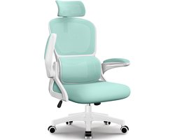 Hiaonyx Bureaustoel - Ergonomische Bureaustoel - Inklapbare Armleuningen - Verstelbare Hoofdsteun & Lendensteun - 3 Rugsteunmodi - licht blauwgroen
