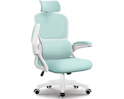 Hiaonyx Bureaustoel - Ergonomische Bureaustoel - Inklapbare Armleuningen - Verstelbare Hoofdsteun & Lendensteun - 3 Rugsteunmodi - licht blauwgroen
