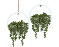 Hobyhoon Hangplant Kunstplanten, Vetplanten in Pot, 31 cm, Nep Plant Decoratie voor Woonkamer, Slaapkamer, Keuken, Vensterbank, Wanddecoratie