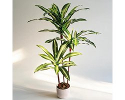 HOERFURIY Kunst Dracaena Brasil 100cm - PEVA PE bladeren met verzwaarde pot mosbedekking - compacte kunstplant voor bureau kast vensterbank woonkamer decoratie