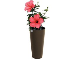 Hoge Eco Bloempot met Houtaccent - Duurzaam Tuin & Binnen Plantenbak