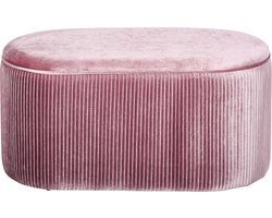 HOMCOM zitbank - met opbergruimte - sterke bekleding - fluweellook