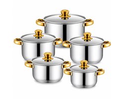 Home & Beyond® 10-delige RVS Pannenset met Deksels – Met Goudkleurige Handgreep – 5 Kookpannen 18/20/22/24/26 cm – Geschikt voor Inductie, Gas, Keramisch & Halogeen – Zilver/Goud