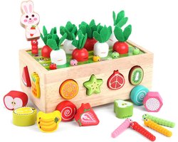 Homeblend Houten Vormenstoof - Sensorisch Speelgoed - Puzzel - Vanaf 1 Jaar - Educatief Montessori Speelgoed - Fijne Motoriek & Hand-Oogcoördinatie