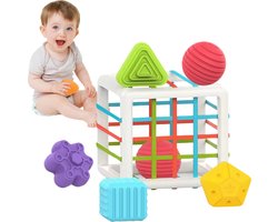 Homeblend Vormenstoof - Montessori Speelgoed - Baby Speelgoed - Sensorisch - Vanaf 1 Jaar - Educatieve Blokken - Sorteer Speelgoed - Speelgoed 1 2 Jaar