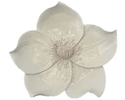 HomeBound - Wanddecoratie Bloem Zalea Beige - 15,5 cm