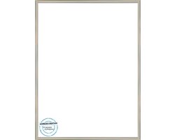 Homedecoration Almelo – Fotolijst – Fotomaat – 29 x 65 cm – Chroom