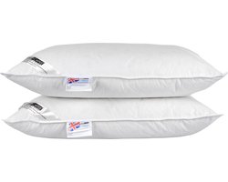 Homescapes 2 zachte kussens 50x75 cm in een set, veren en donzen kussens