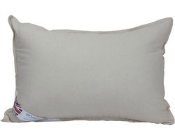 Homescapes Biologisch kussen 50x75 cm, met biologisch katoenen hoes en super microvezel vulling