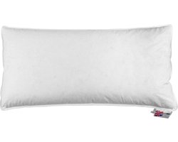 Homescapes - Extra zacht ganzendons hoofdkussen 80x40 cm 100% ganzendons