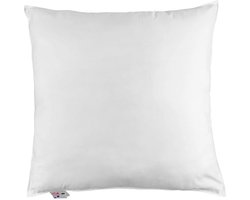 Homescapes - Hoofdkussen 60x60 cm - 100% eendenveren