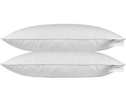 Homescapes Hoofdkussens 40x80 cm – Set van 2 – Medium Zacht – Ganzenveren & Dons – Anti-Allergisch – Voor Zijslaper & Nekklachten – OEKO‑TEX®, RDS Gecertificeerd