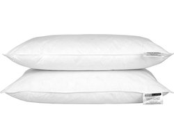 Homescapes Hoofdkussens 50x75 cm – Set van 2 – Medium Zacht – Ganzenveren & Dons – Anti-Allergisch – Voor Zijslaper & Nekklachten – OEKO‑TEX®, RDS Gecertificeerd