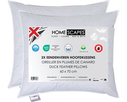 Homescapes Hoofdkussens 60x70 cm – Set van 2 – Medium Zacht – 100% Eendenveren – Anti-Allergisch – Voor Zijslaper & Nekklachten – Oeko‑Tex Gecertificeerd