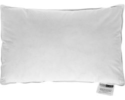 Homescapes Peuter- & Kinderkussen 40x60 cm – Ganzendons & Veren – OEKO-TEX® & RDS