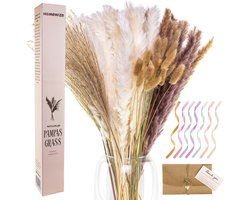 Homewize Pampasgras Pluimen - Set 90 stuks met 4 Soorten Natuurlijke Droogbloemen - Gedroogde Bloemen met 65cm Lange Stelen voor Vloervaas - Creëer Jouw Fantastische Droogboeket