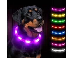 Hond Lichten Clip on, Hond Lichten voor de Donkere Licht Up Hondenhalsband LED Hond Licht Oplichten Knipperend Hond Licht voor Hond Wandelen Clip op Hond Licht Met 3 Lichtmodi voor Huisdier Veiligheid Nachtwandelen