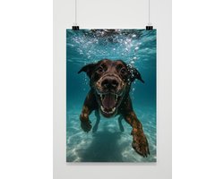 Hond Poster - Dieren Posters - Zwembad - Humor - Onderwater - Kinderposter - Wanddecoratie Kinderkamer - 180 gram papier - S6920WV - Formaat 50 x 70cm